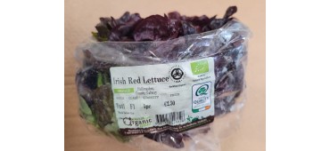 Lettuce, Red (1pc)