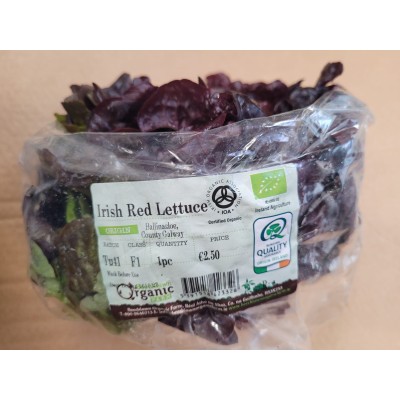 Lettuce, Red (8pc) Case