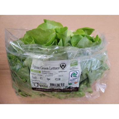 Lettuce, Green ROMAINE /Oakleaf (CASE) 8pc