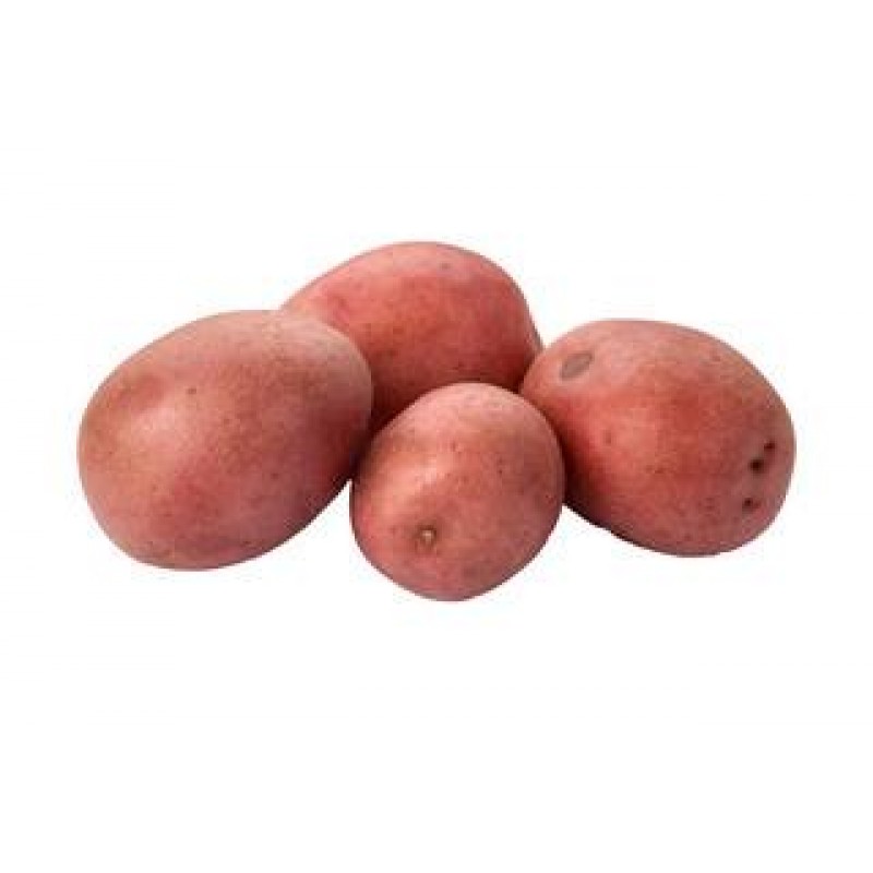 Potatoes, Red (10kg) (setanta)ireland
