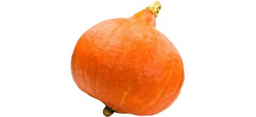Orange Pumpkin 1pc (medium)