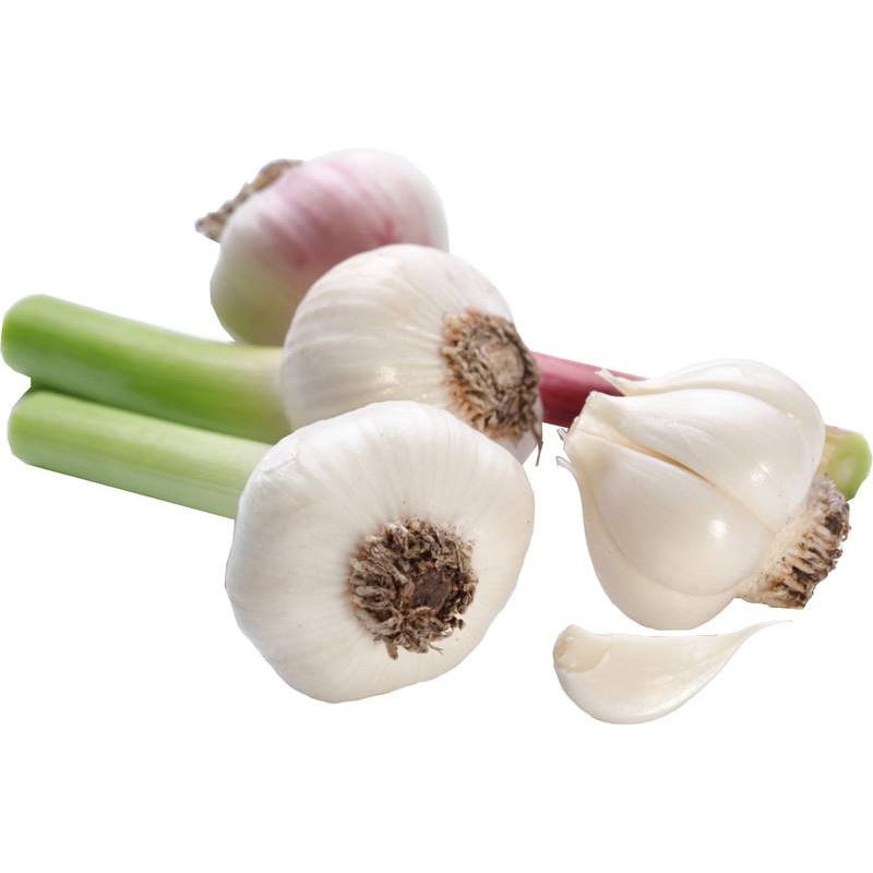 Fresh Garlic (120-150g) Ireland