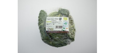 Cabbage, Green Staunton (CASE) 8X450g