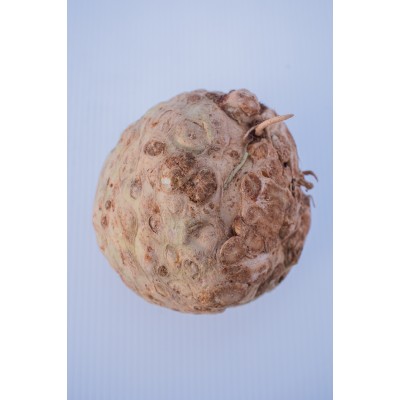 CELERIAC (pc)