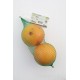 Grapefruit (CASE) 8x500g SPAIN