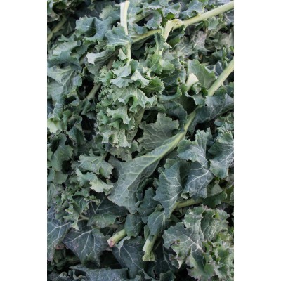 KALE, HERITAGE (1kg)