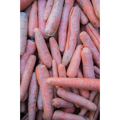 Broken/Wonky Carrots, Grade 2 (1kg) 