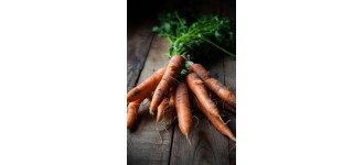 Carrot Bunch (IN CONVERSION)10pc