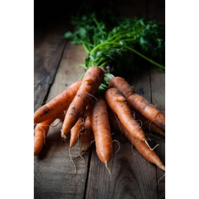 Carrot Bunch (IN CONVERSION)10pc