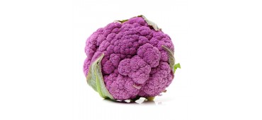 CAULIFLOWER, PURPLE (pc)