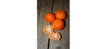 Mandarins (CASE) 8x500g Trays