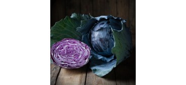 CABBAGE RED (10kg)