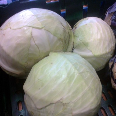 Cabbage, White (1kg) 
