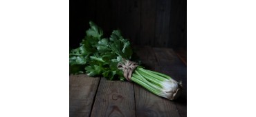 Celery (10pc)