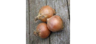 Onions, Brown (10kg)
