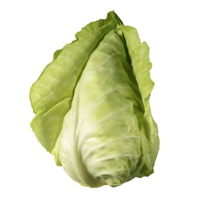 Cabbage, Pointed 10pc