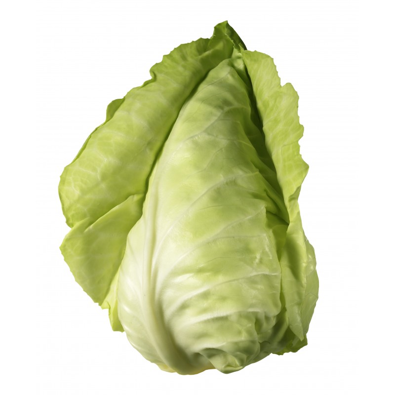 Cabbage, Green Pointed (1pc) Ireland