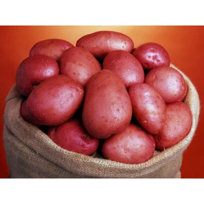 POTATOES, Sapro RED (1kg)