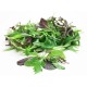 SALAD LEAF (1 kg) 