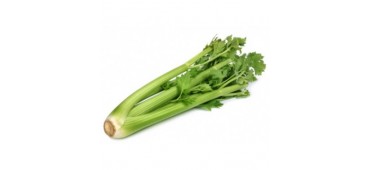 Celery (1pc) Ireland   