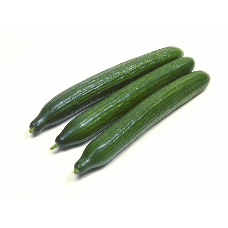 Cucumber (1pc) Holland