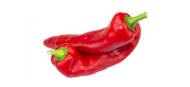 Peppers Red Pointed (1pc) Spain