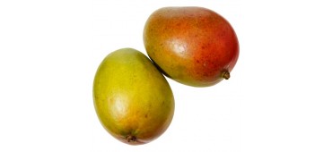 Mango (1pc) Burkino Faso 