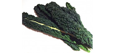 Kale, Dark (250g) Ireland
