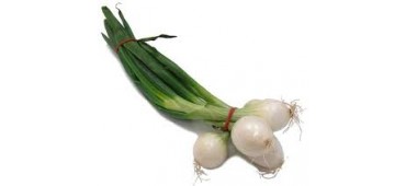 Onion Bunch (CASE)  8x750g