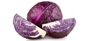Cabbage Red (700g) Holland