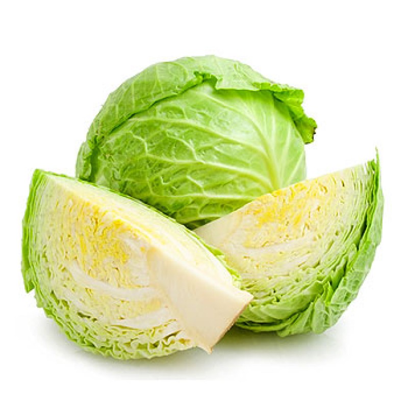 Cabbage White (1pc) Holland