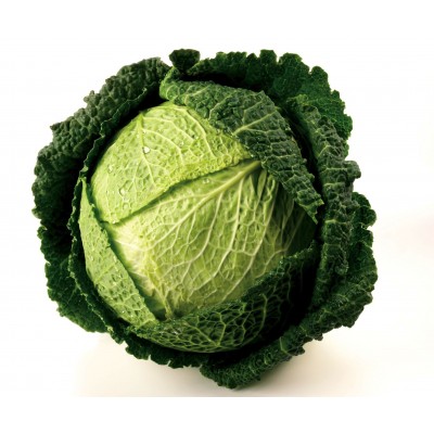 Cabbage, Green Savoy (pc)