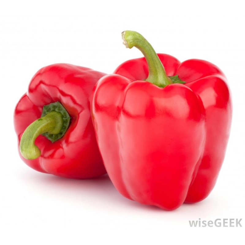 Pepper Red (1pc) Holland