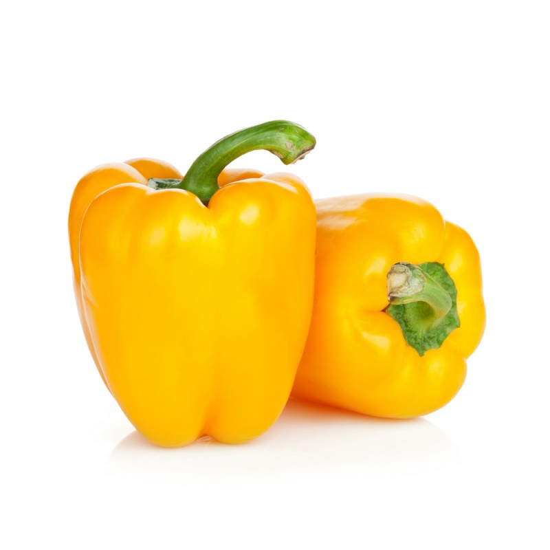 Pepper Yellow (1pc) Holland