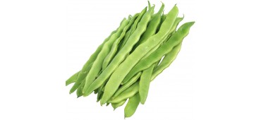 Flat beans (250g) Spain