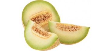 Melon Honeydew - Spain