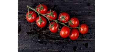 Cherry Tomato Vine (Ireland)